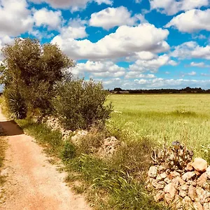 Arthouse Mit Haus Galeria 110qm Und Appartementhaus Mit Patio 30qm Campos (Mallorca)